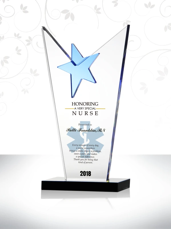 Blue Star Crystal Triangle Nurse Excellence Service Contribution Award