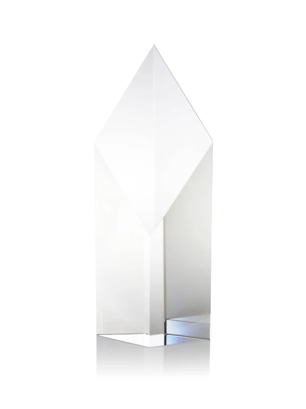 Achievement of the Year Award