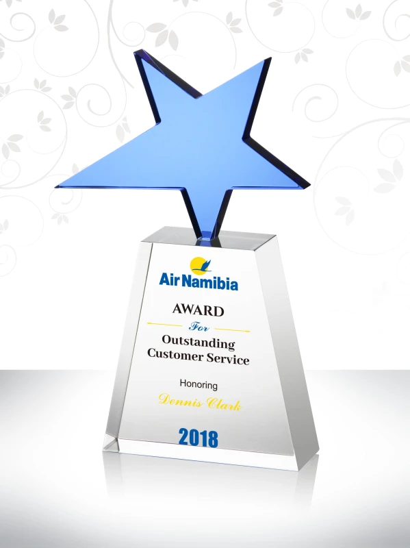 Award for Customer Service