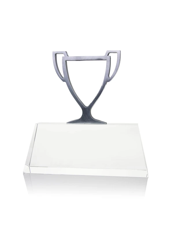 Rising Star of the Year Award