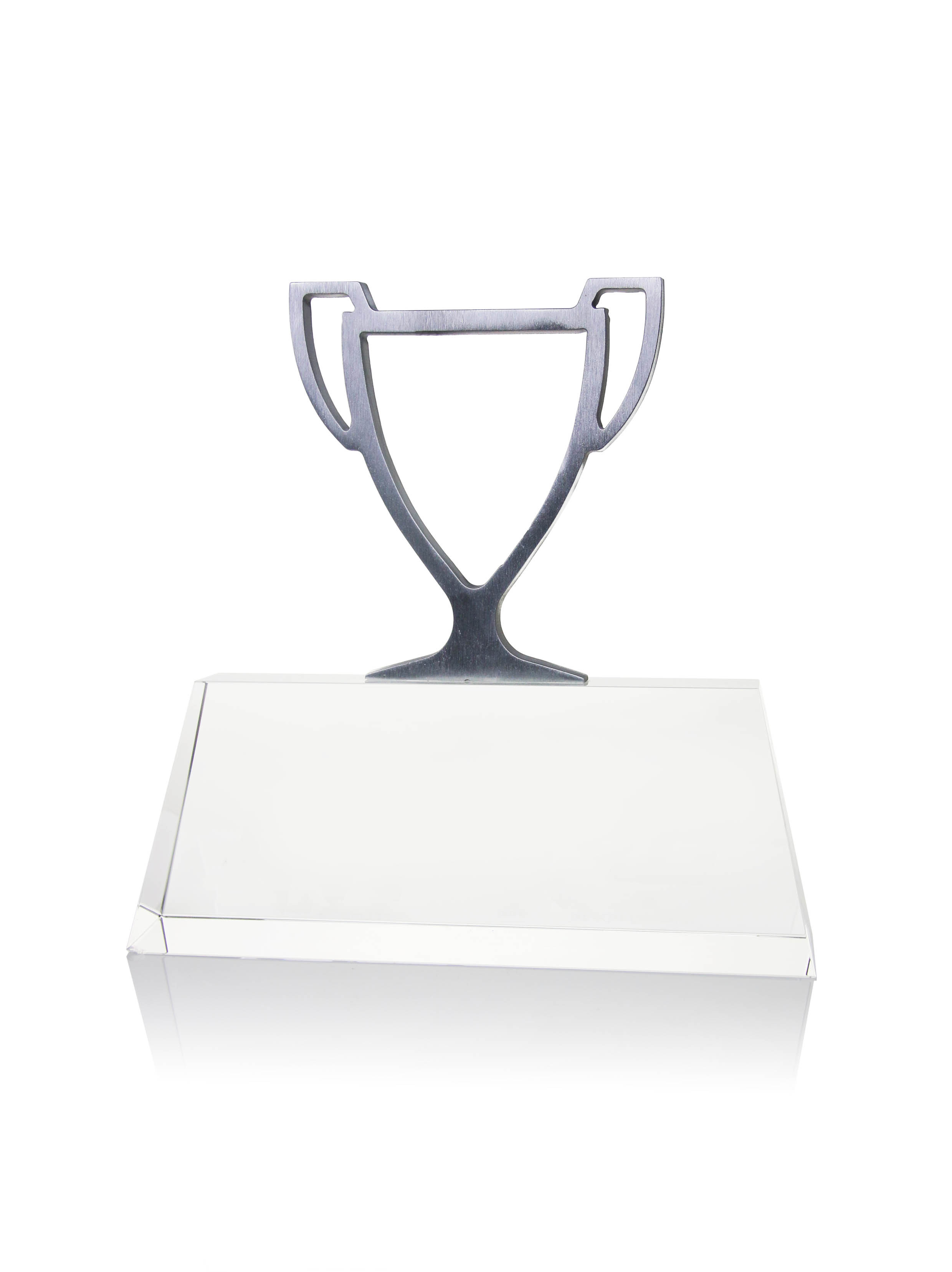 Rising Star of the Year Award