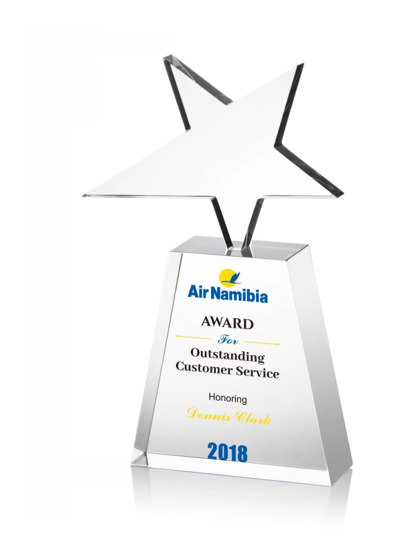 Award for Customer Service