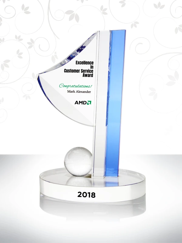Customer Service Example Award