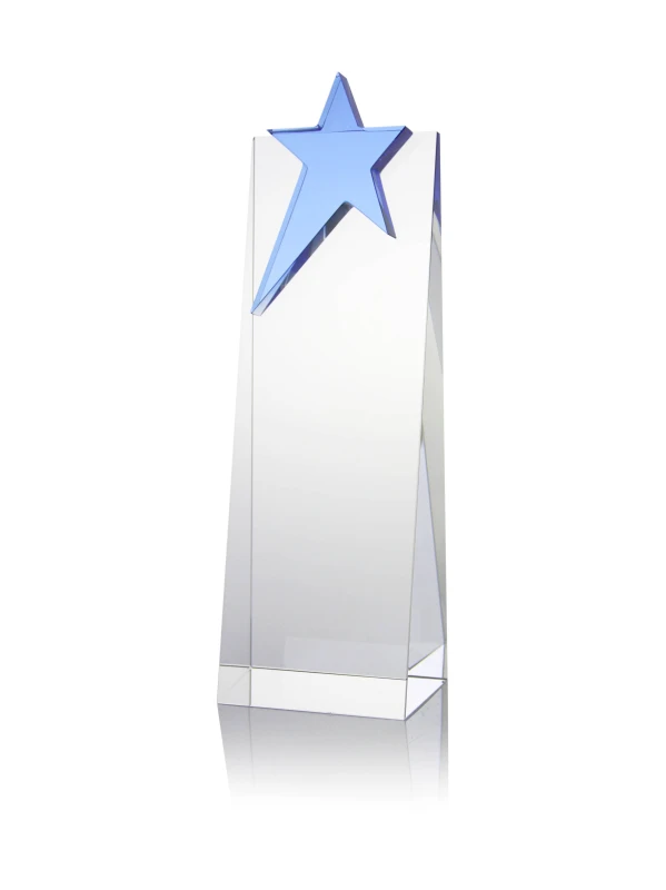 Star Sales Excellence Award Gift