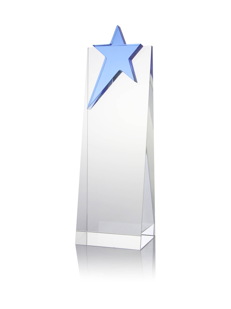 Star Sales Excellence Award Gift