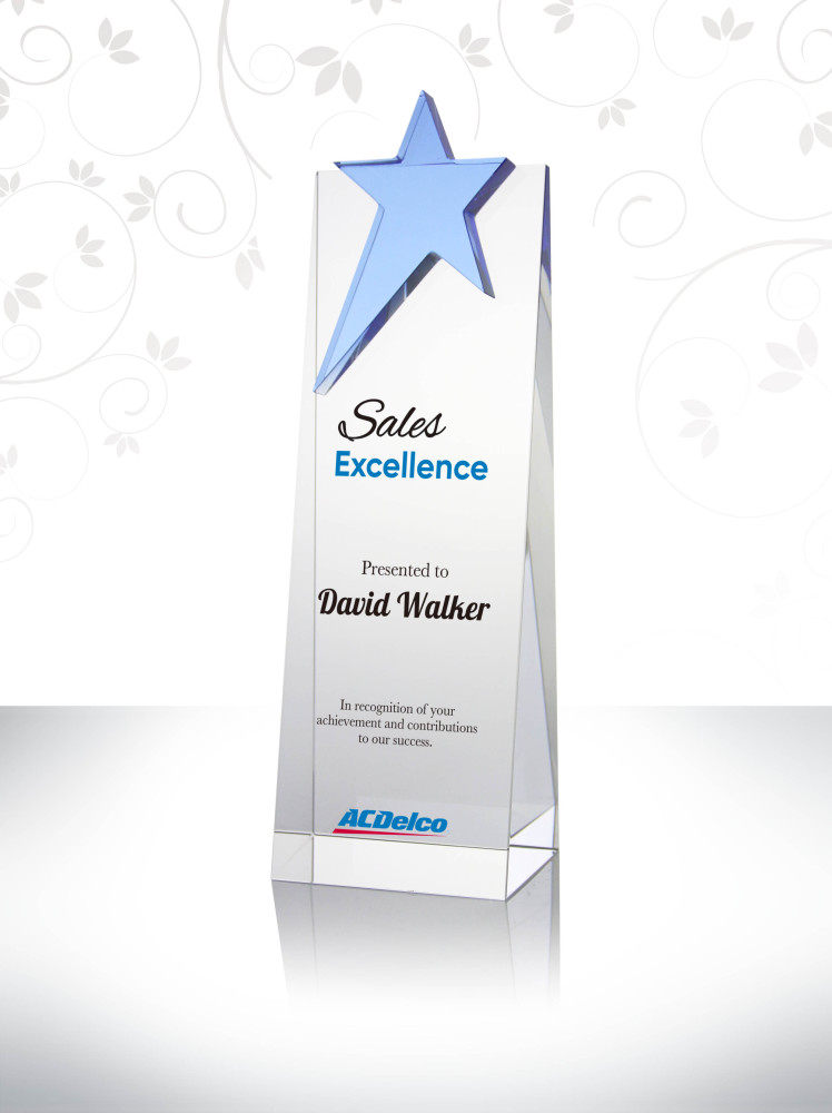 Star Sales Excellence Award Gift