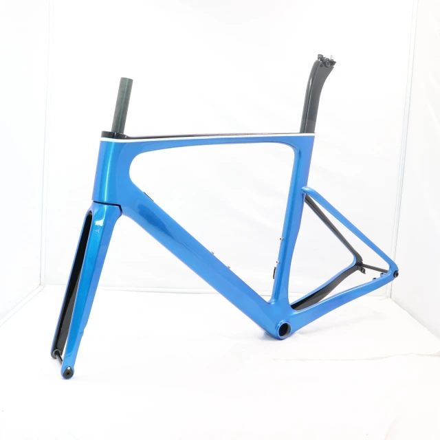 Chameleon Paint Carbon Road Disc Frame VBR099
