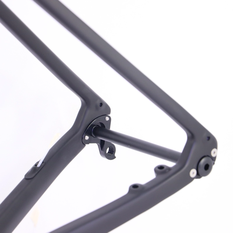 2019 VeloBuild carbon fiber gravel bike frame new version 12x100 fork available