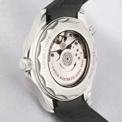 Omega Seamaster White Dial 210.32.42.20.04.001