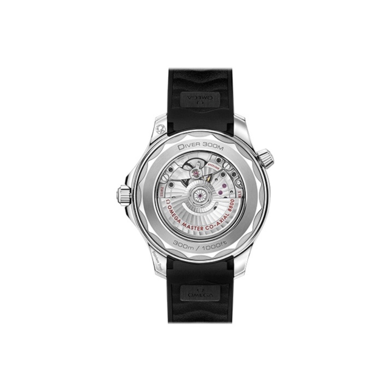 Omega Seamaster Black Dial 210.32.42.20.01.001