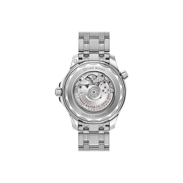 Omega Seamaster 210.30.42.20.01.001