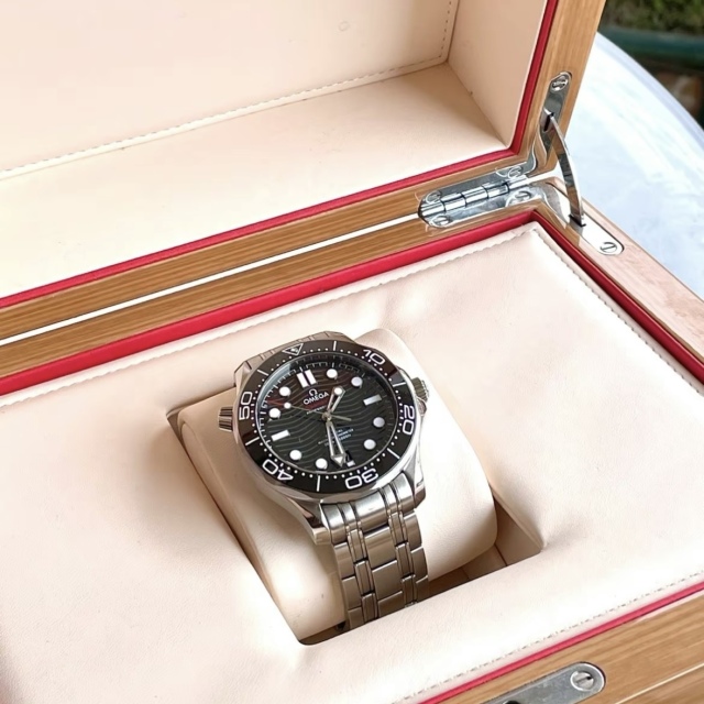 Omega Seamaster 210.30.42.20.01.001
