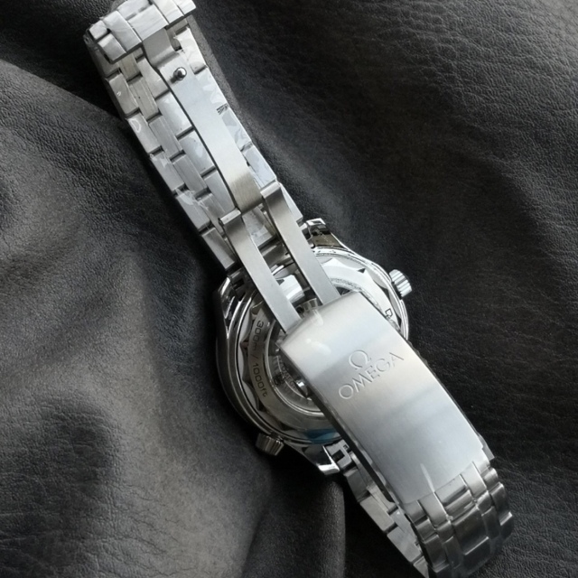 Omega Seamaster 210.30.42.20.04.001