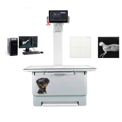 Veterinary Solutions