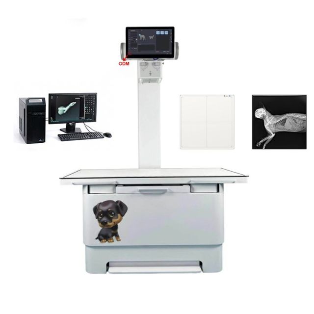 High Performance Digital X Ray Machine