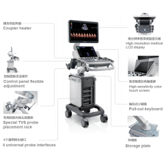 Mindray DC-35 Pro High End Ultrasonic Diagnostic System 4D Color Doppler Ultrasound Scanner 