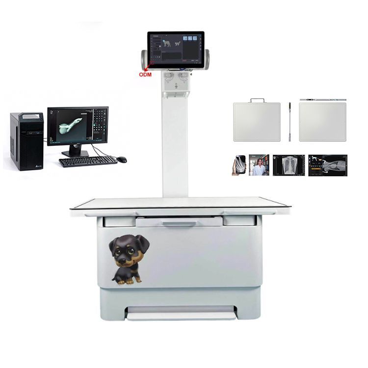 High Performance Digital X Ray Machine