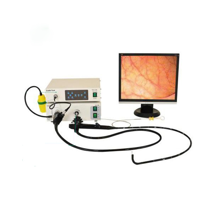 MCVG1660 Medical Video Fiber Gastroscope