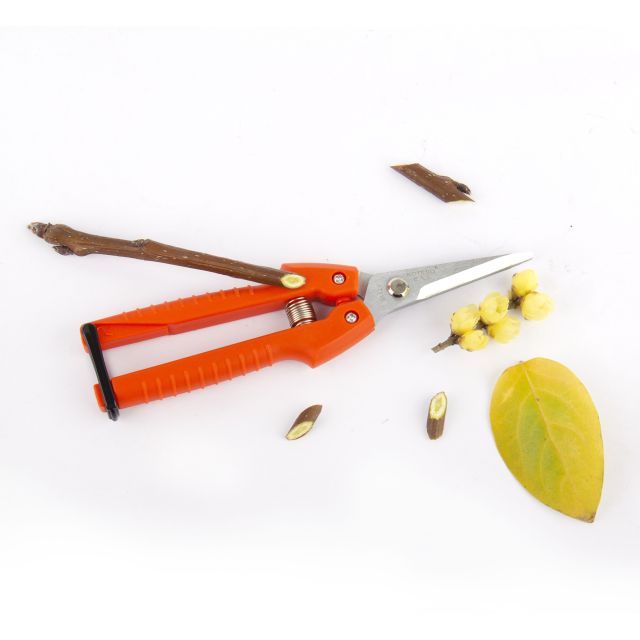 Pruner 110