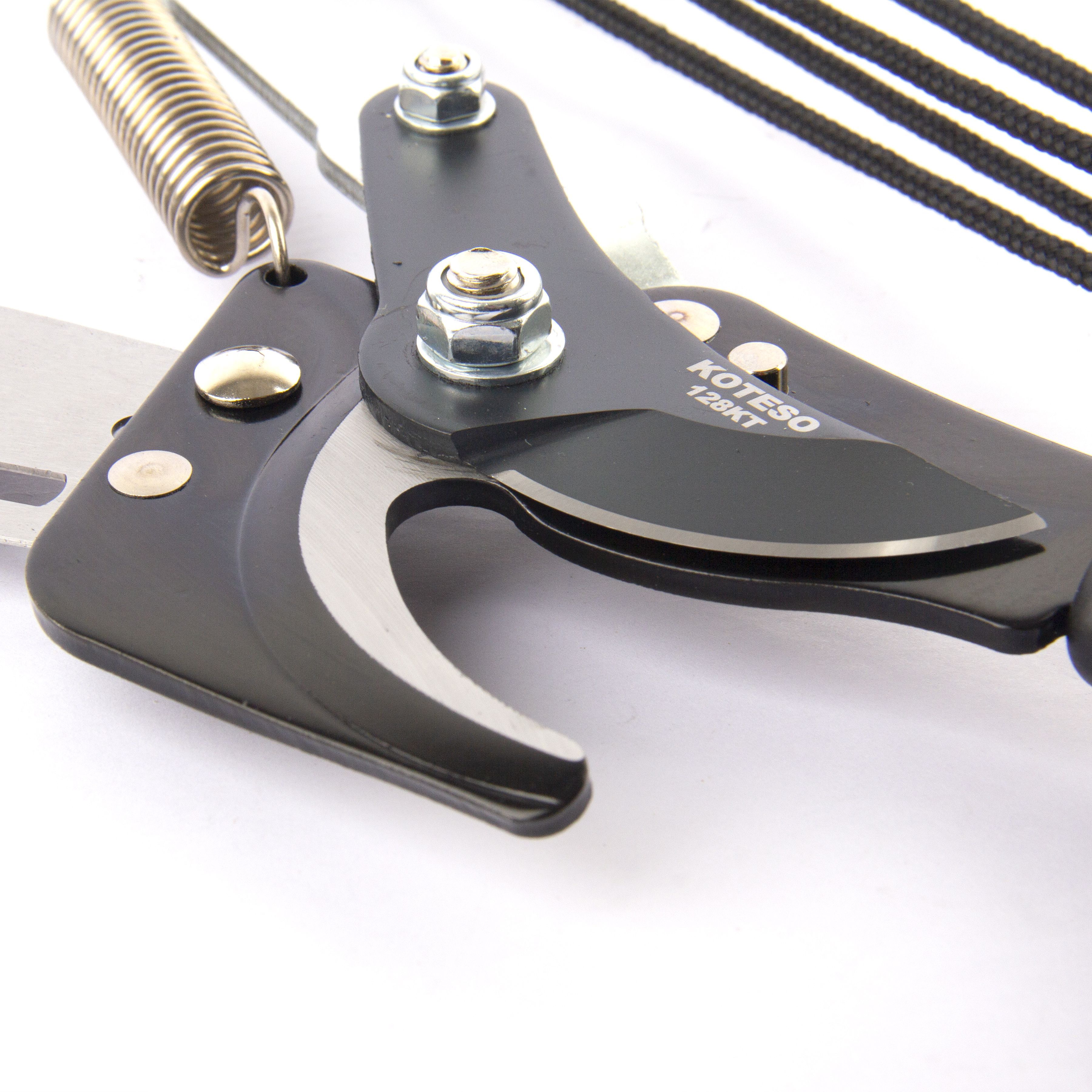 Pruner 128
