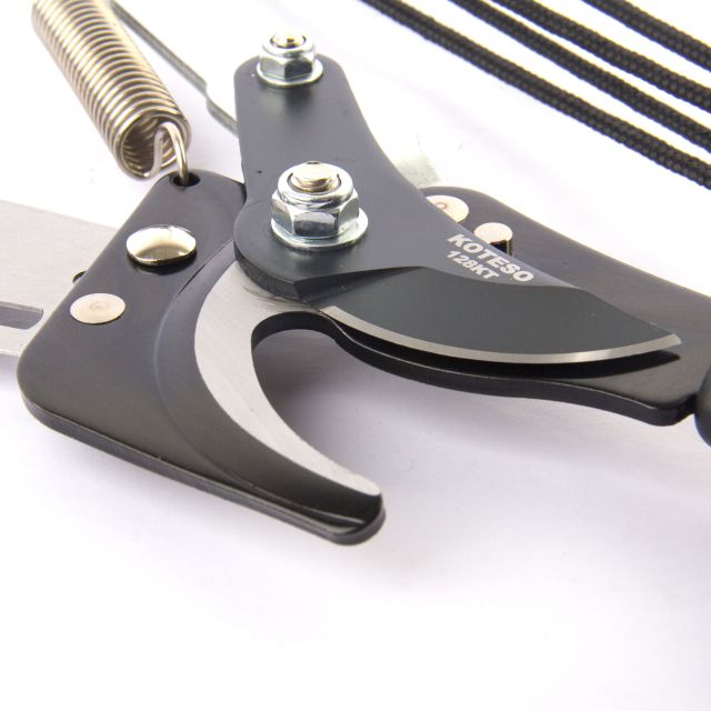 Pruner 128
