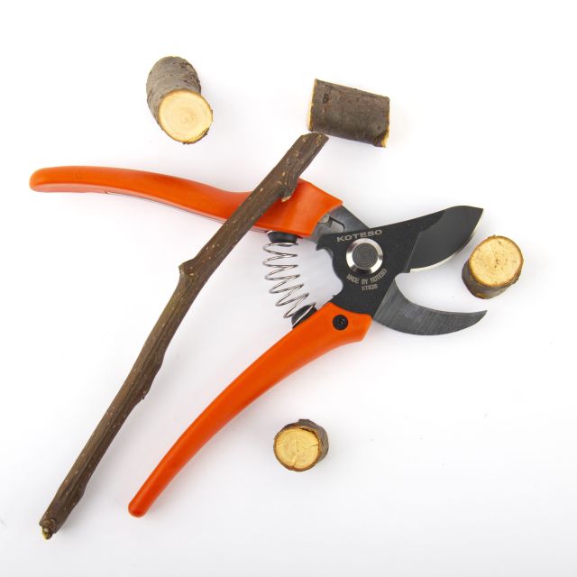 Pruner  825