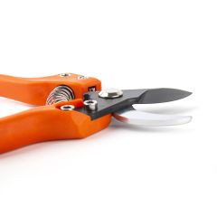 Pruner  V7