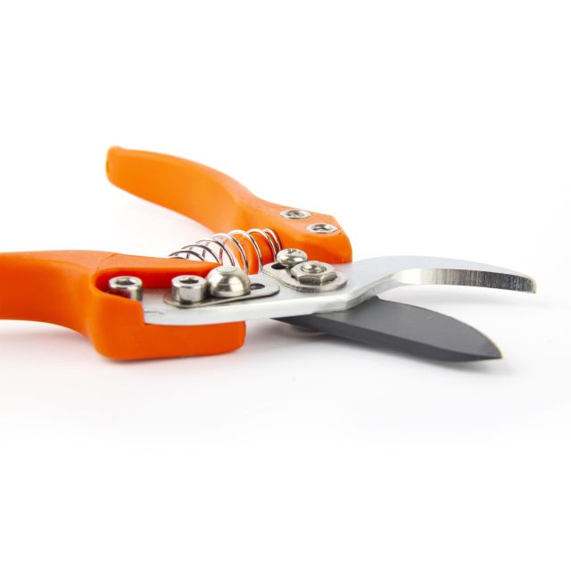 Pruner  V7