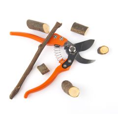 Pruner  V7