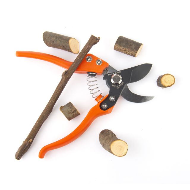 Pruner  V7