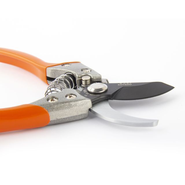 Pruner  V8