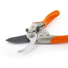 Pruner  V8
