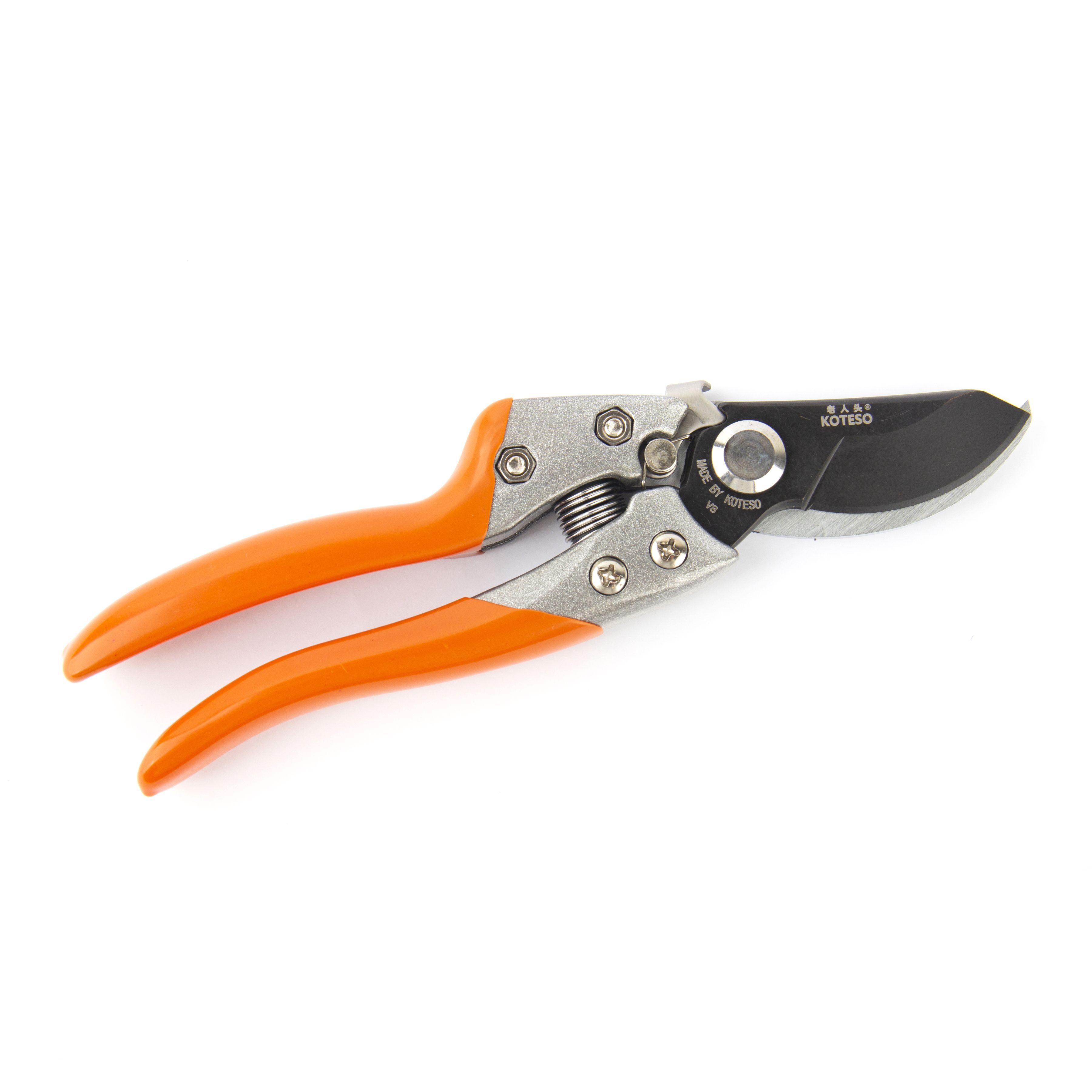 Pruner  V8