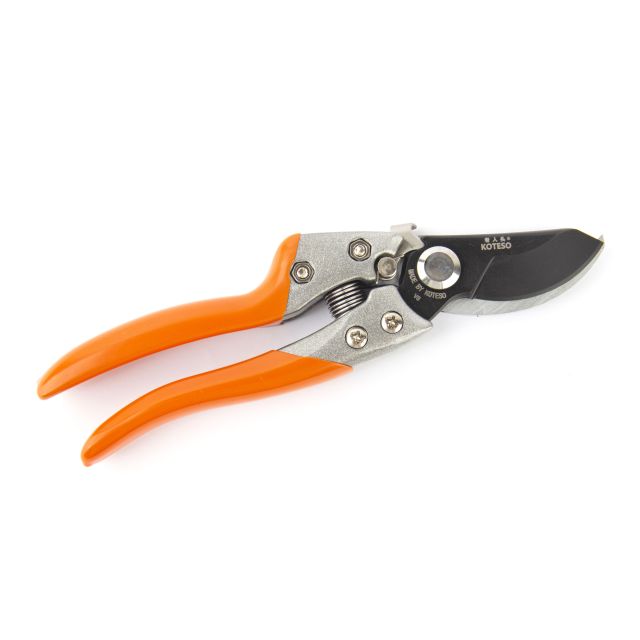 Pruner  V8