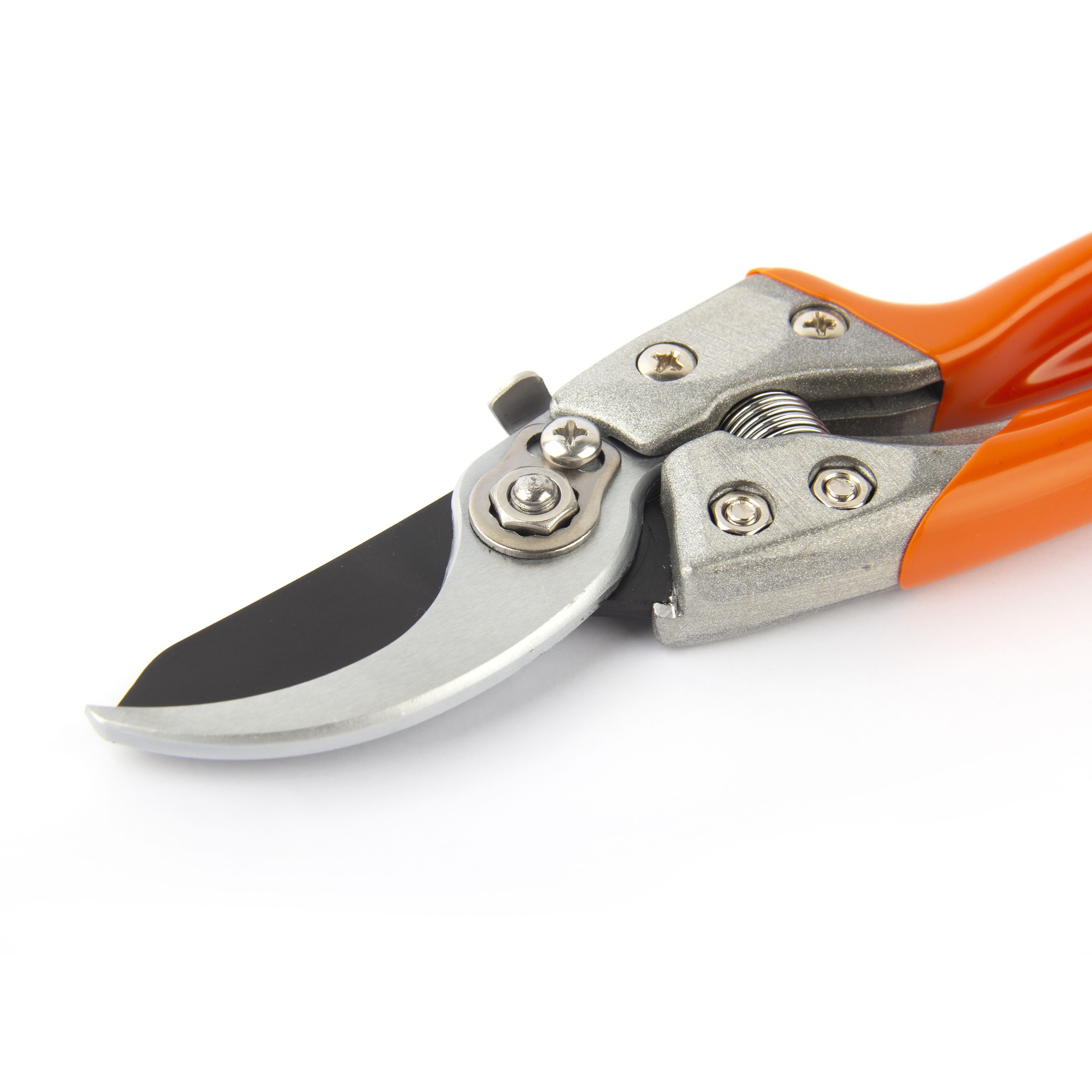 Pruner  V8