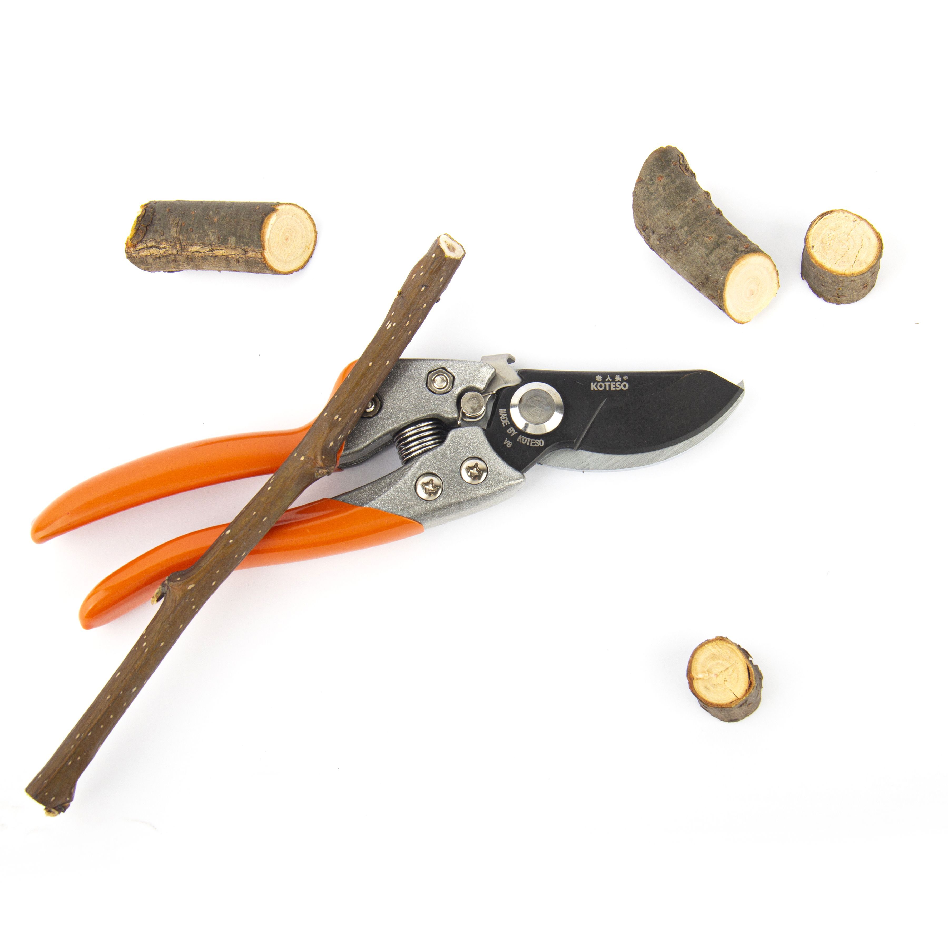 Pruner  V8