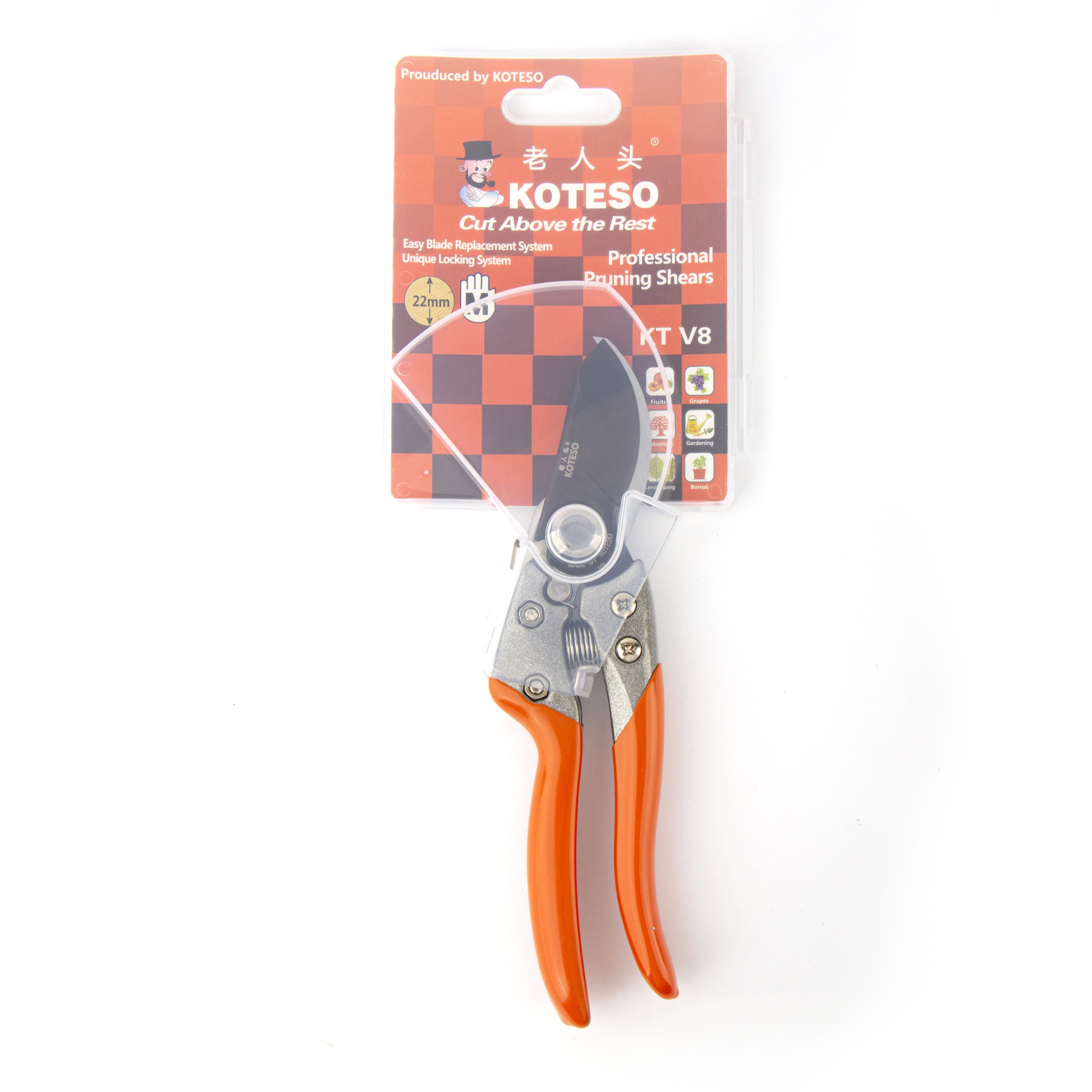 Pruner  V8