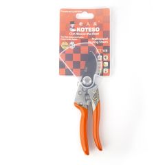 Pruner  V8