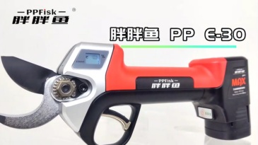 PP E-30