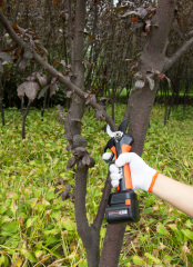 35mm Electric Pruner