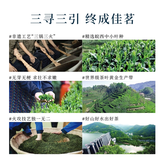 寻引绿茶·六安瓜片