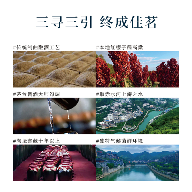 寻引刺桐八景酒