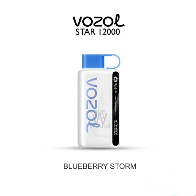 2021 New Product 2024 Pod 10000 Puffs Vozol star 12000 Puff Bar Vaper Empty Vapes Wape Disposable Vape