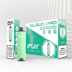 Iplay cloud pro 12000