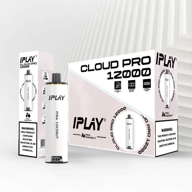 Iplay cloud pro 12000