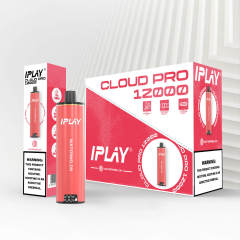 Iplay cloud pro 12000