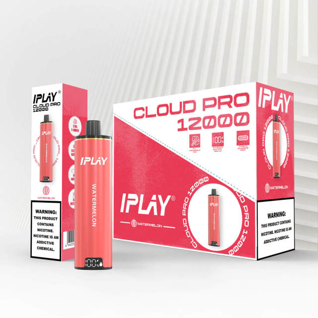 Iplay cloud pro 12000