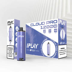 Iplay cloud pro 12000