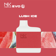 Maskking evo box