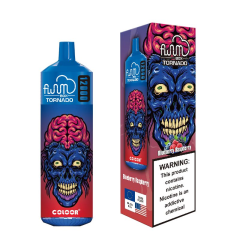 Fluum Box 12000 Puffs